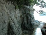 DSCN6890