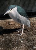 DSCN6320
