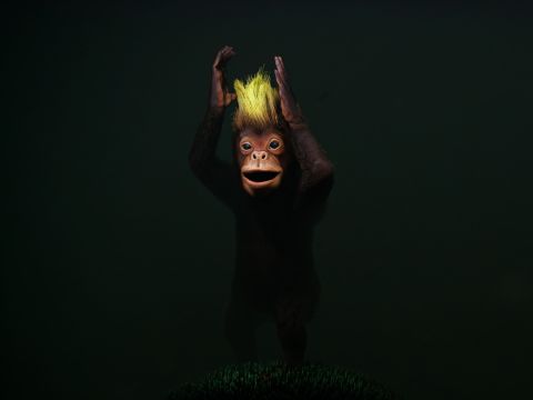 20120129-oran_s.jpg 20120129-oran_s.jpg